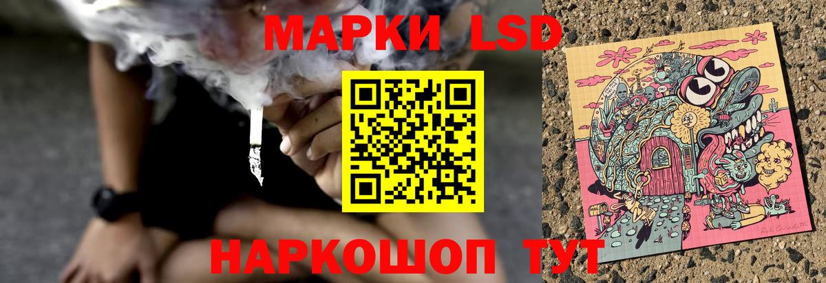 ссылка на мегу зеркало  Лсд 25 экстази ecstasy  LSD-25 экстази  Вход с VPN  Лсд 25 экстази кислота  Нововоронеж 