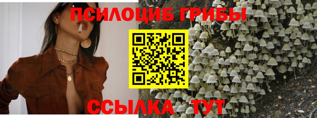 Псилоцибиновые грибы Psilocybe  Галлюциногенные грибы мухоморы  продажа наркотиков  Нововоронеж  Вход с VPN 