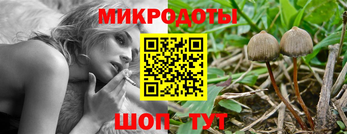 Галлюциногенные грибы MAGIC MUSHROOMS Нововоронеж